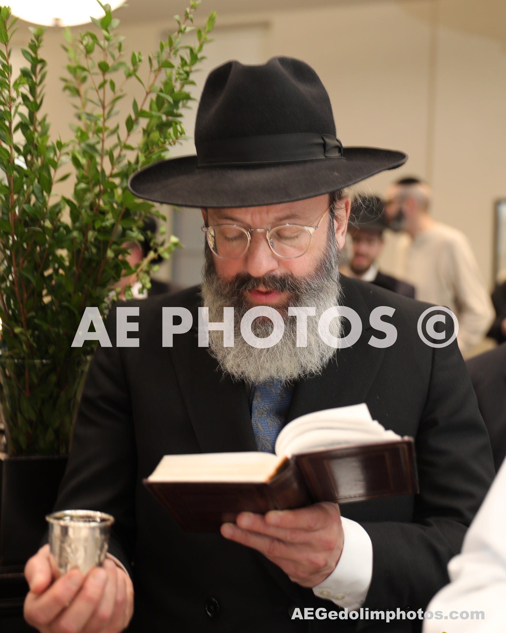 Rav Avrohom Nesanel Zucker