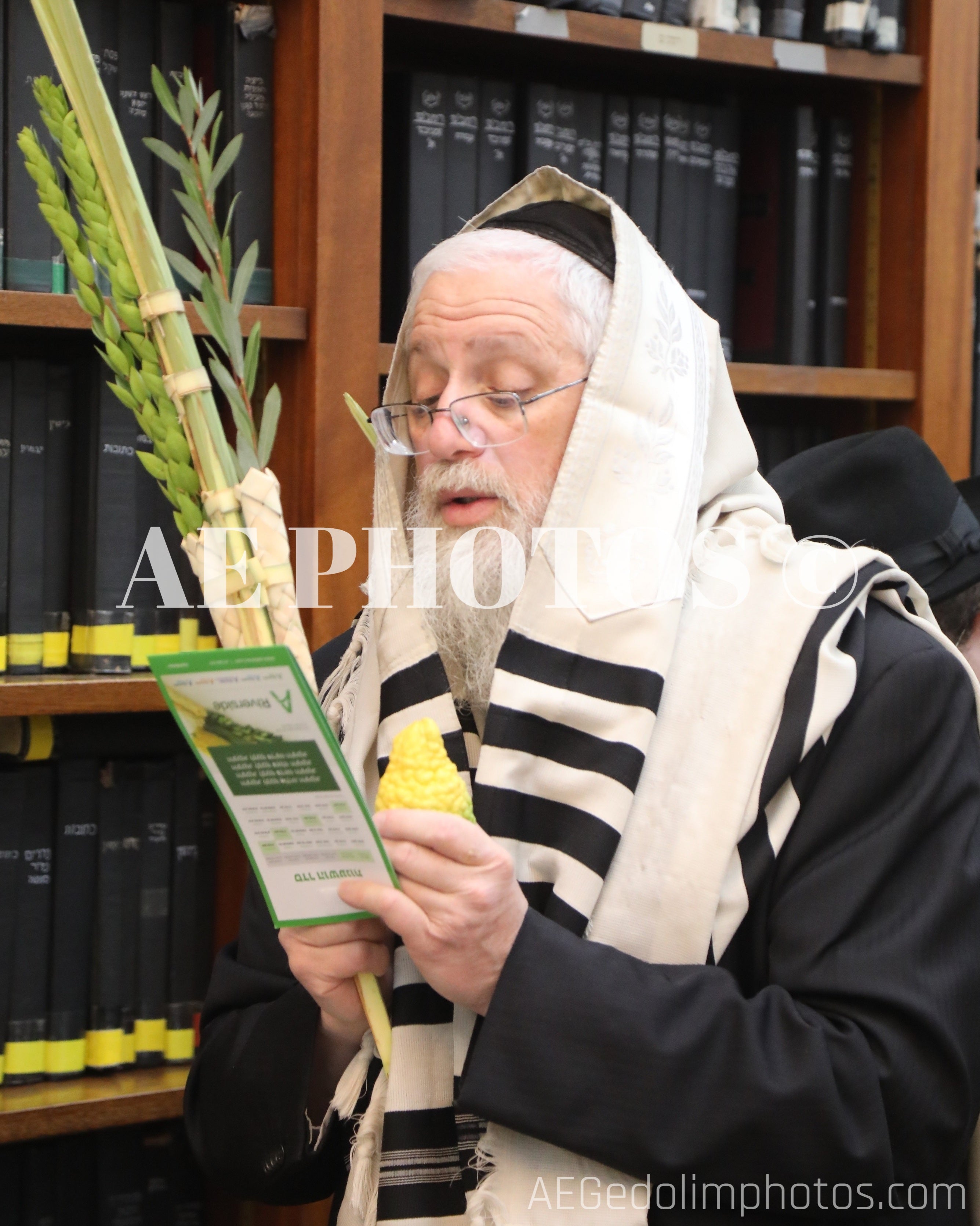 Rav Chanoch Schulgasser