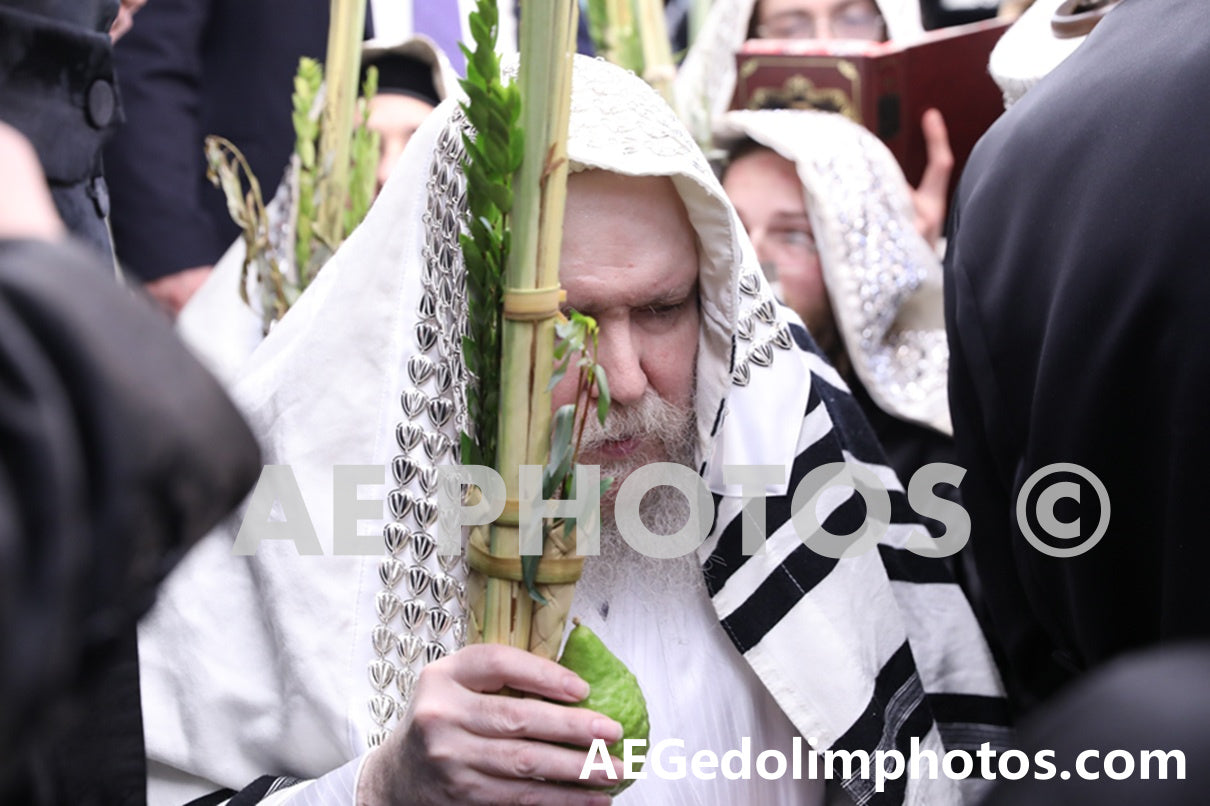 Rav Dovid Bidermon of Lelov
