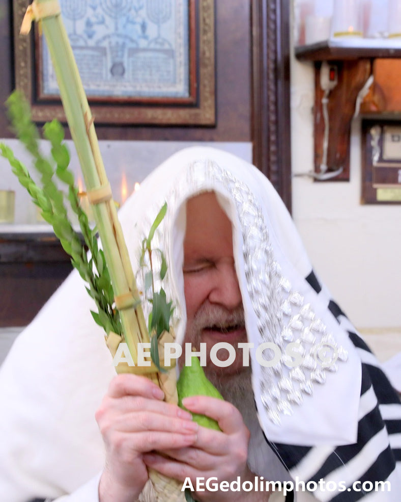 Rav Dovid Bidermon of Lelov (2)