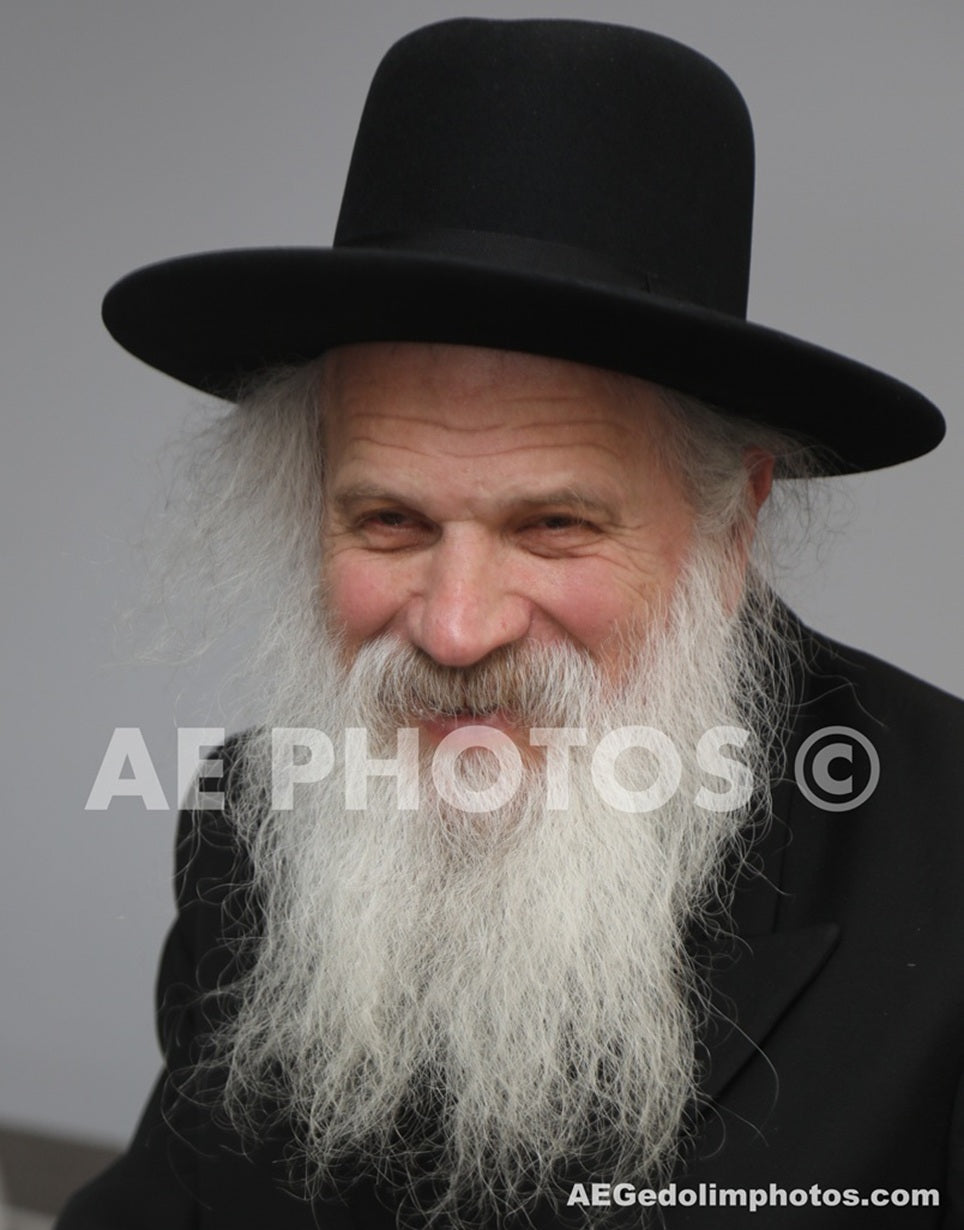 Rav Dovid Schustel
