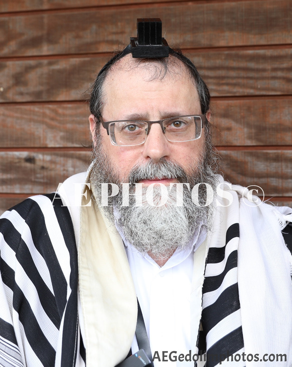 Rav Menachem Feifer https://torahanytime.com/speakers/1210