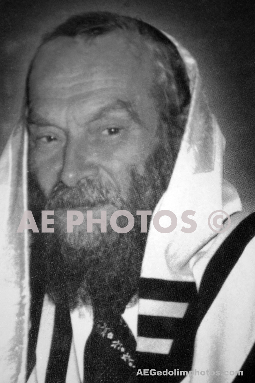 Rav Mendel Kaplan