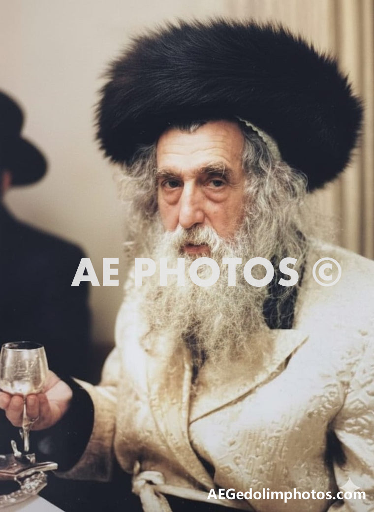 Ribnitzer Rebbe
