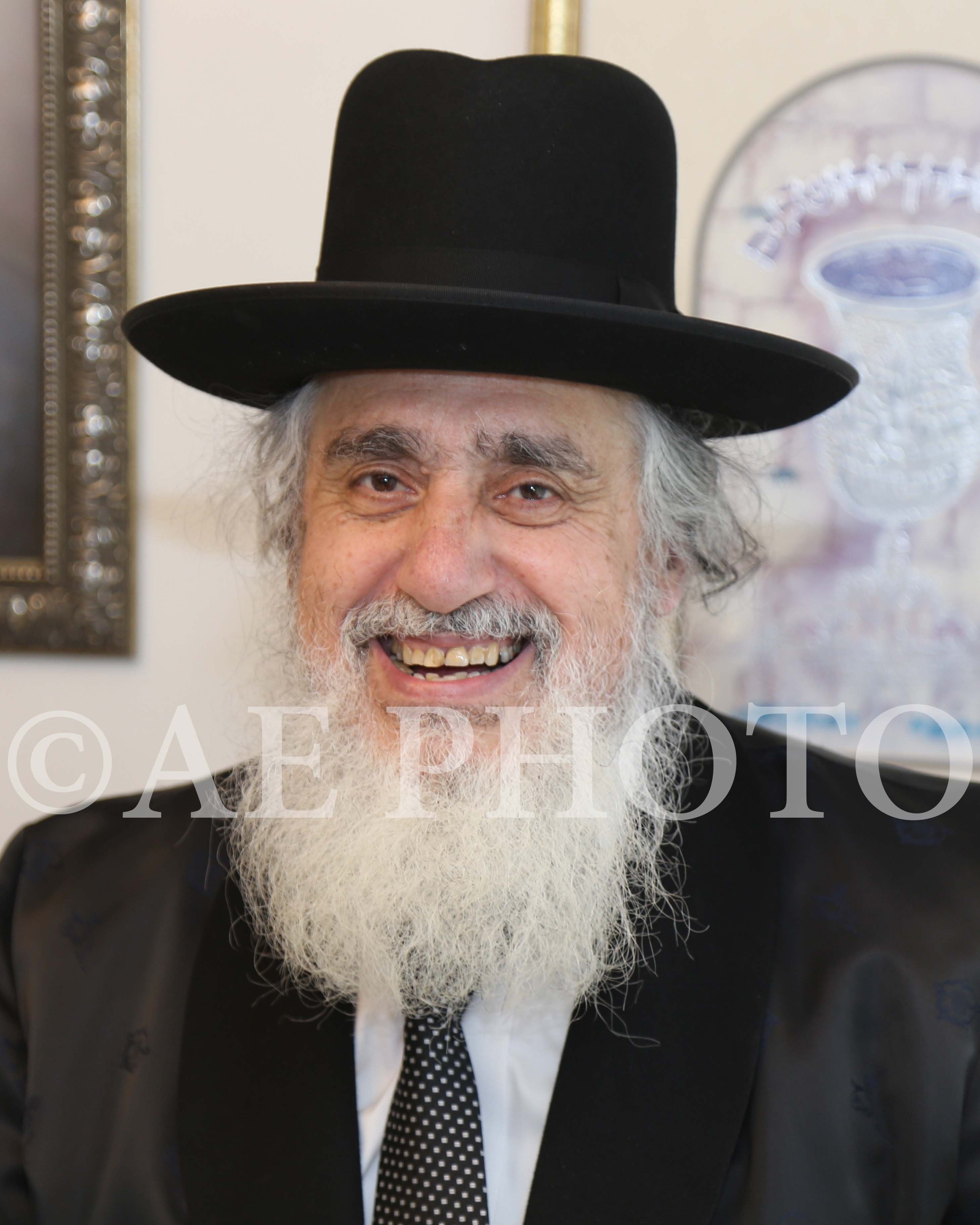 Rav Eliezer Ginsberg