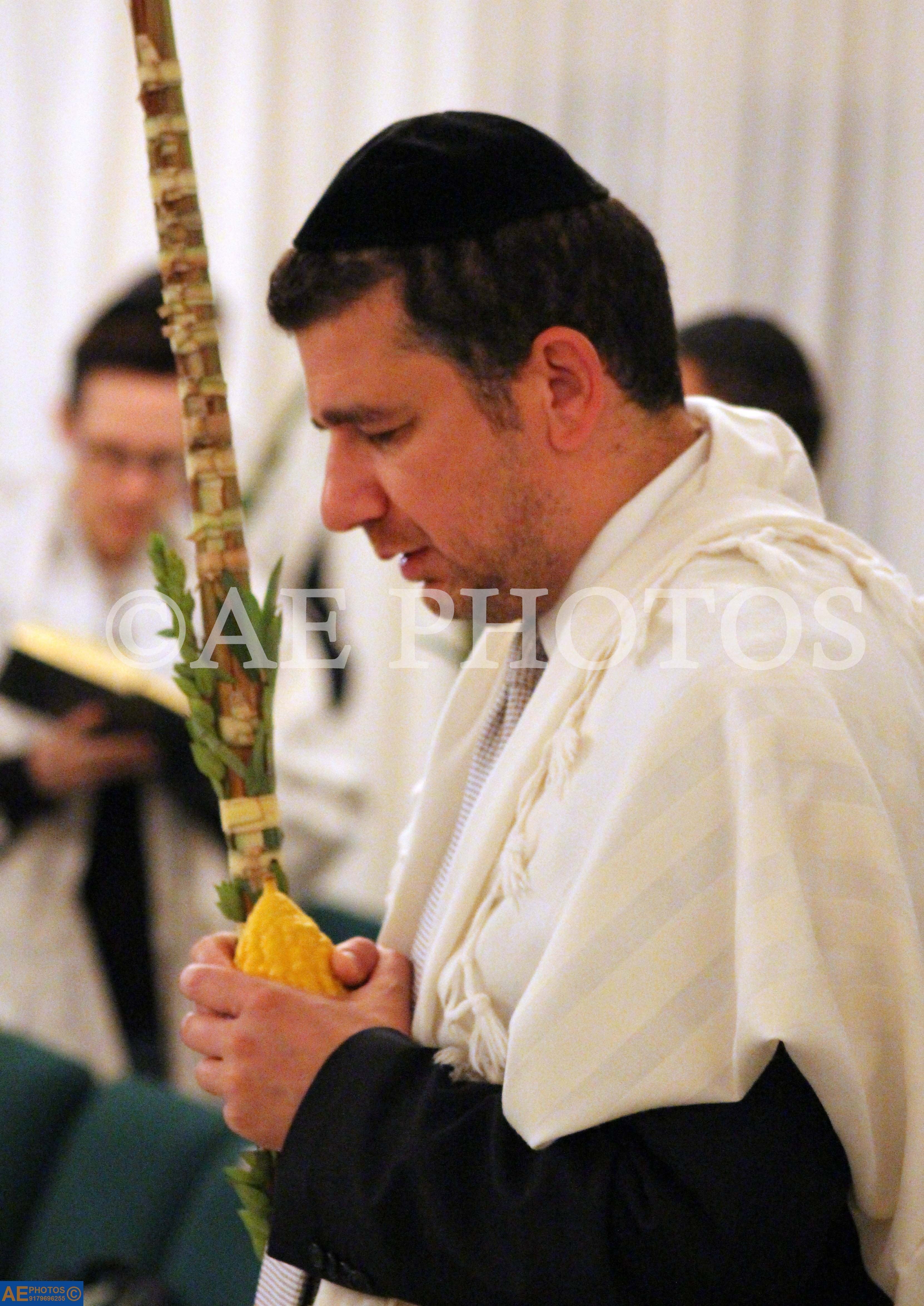 Rav Meyer Yedid