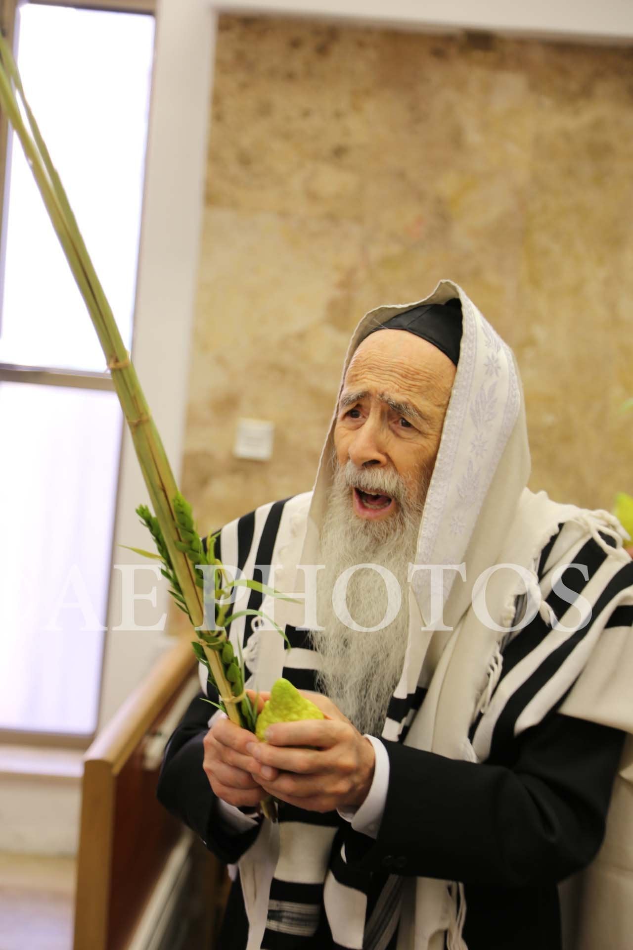 Rav Yehuda Ades