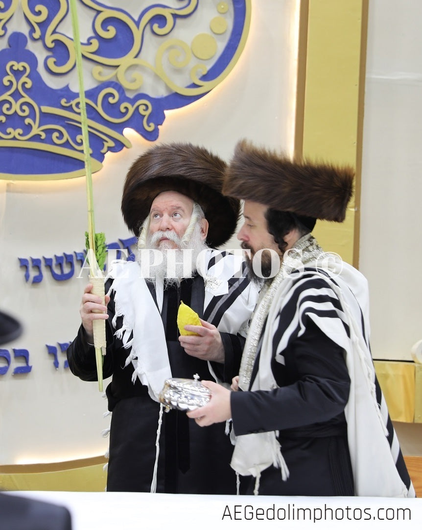 Bobov Rebbe  האדמו"ר מבאבוב