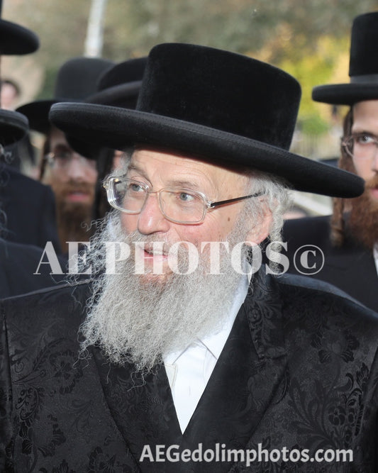 Pinsk-Karlin Rebbe