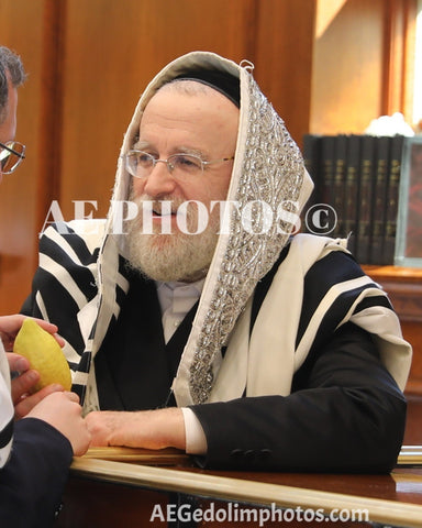 Rabbi Yisroel Dovid Schlesinger