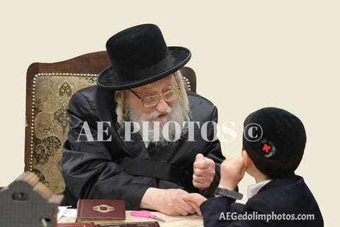 Rachamsrivka Rebbe speaking to a little boy