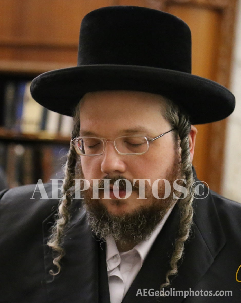 Rav Aharon Mordechai Rokeach son of the Belzer Rebbe