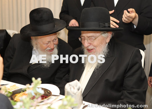 Rav Avrohom Gurwitz with Rav Avrohom Yehoshua Soloveitchik