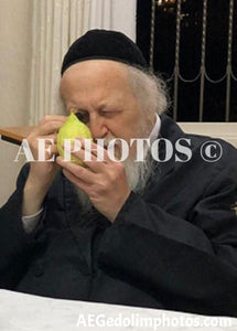 Rav Avrohom Yehoshua Soloveitchik inspecting an esrog