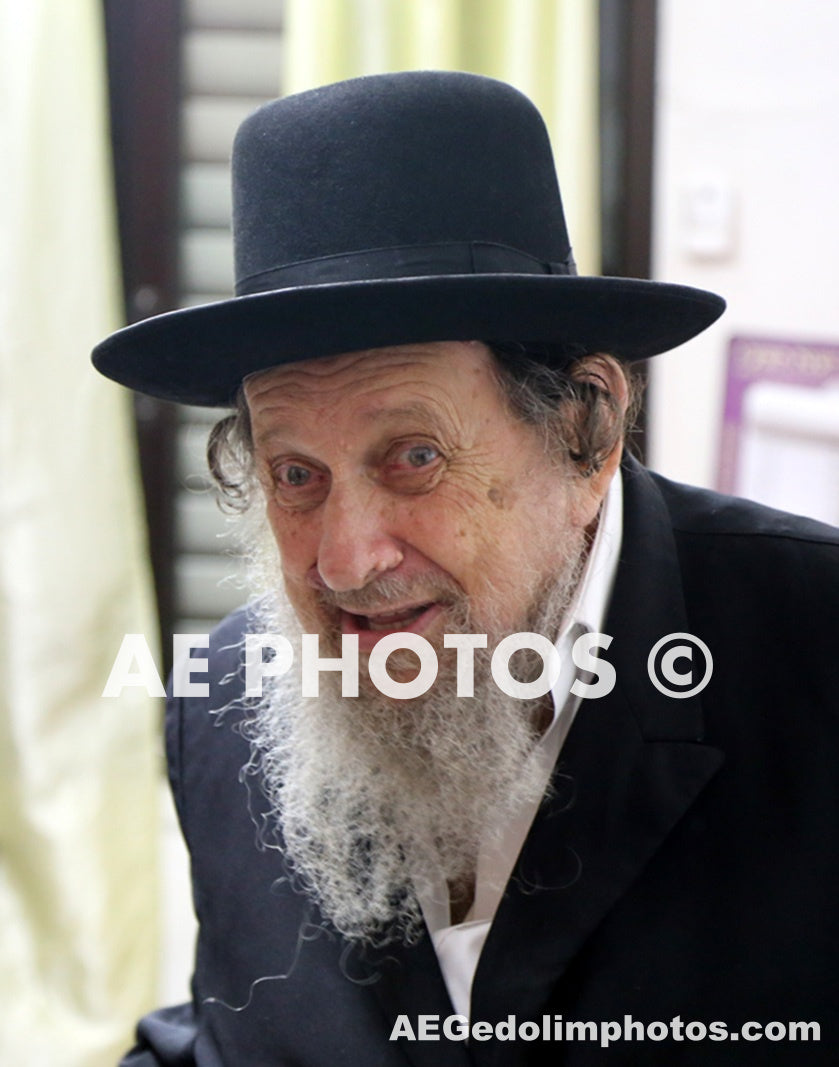 Rav Alter Chaim Dovid Stern     רבי אלטר דוד חיים שטרן