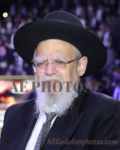 Rav Chaim Ginsburg