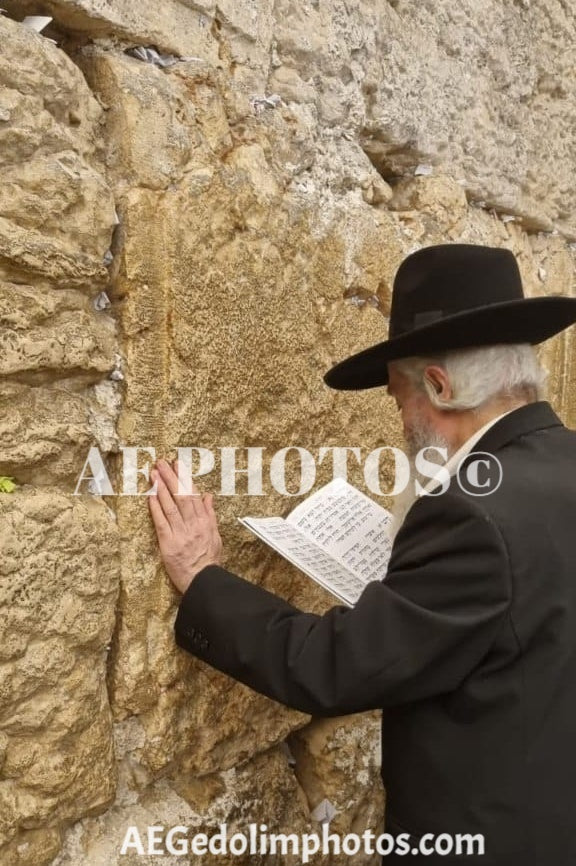 Rav Dovid Abuchatzeira