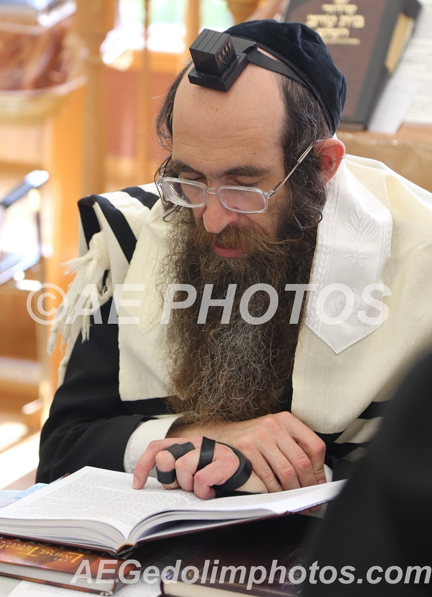 Rav Elimelech Belsky