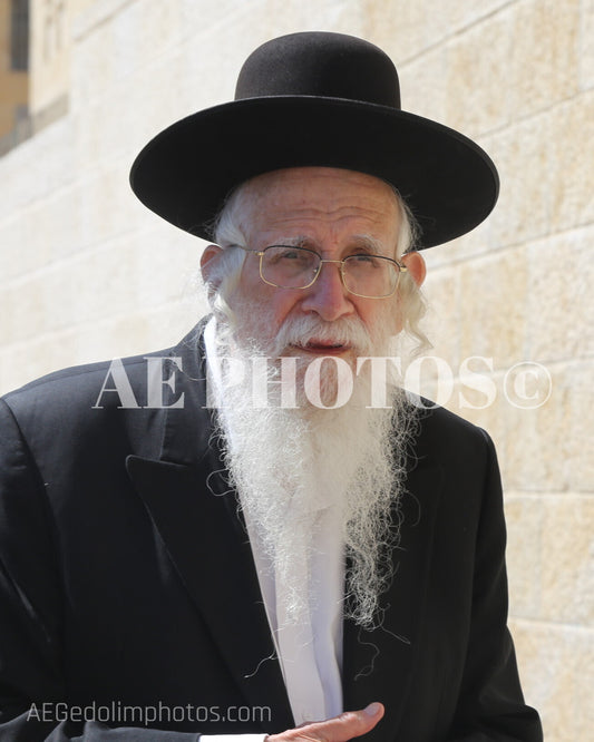 Rav Ezriel Aurbach