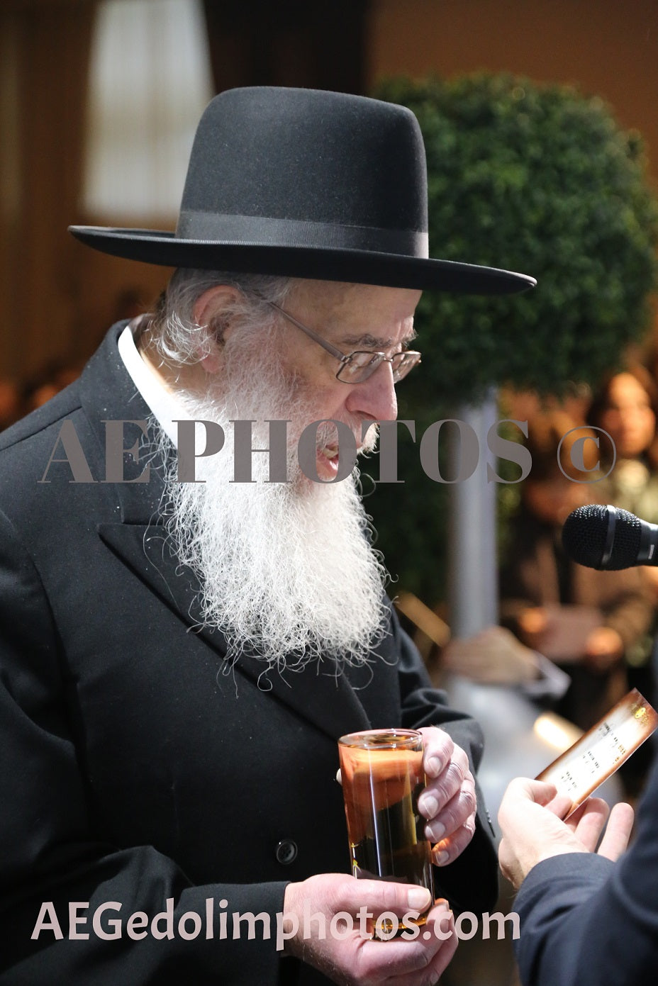 Rav Feivel Cohen