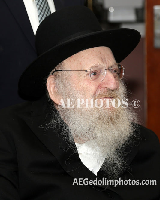 Rav Matisyahu Salomon