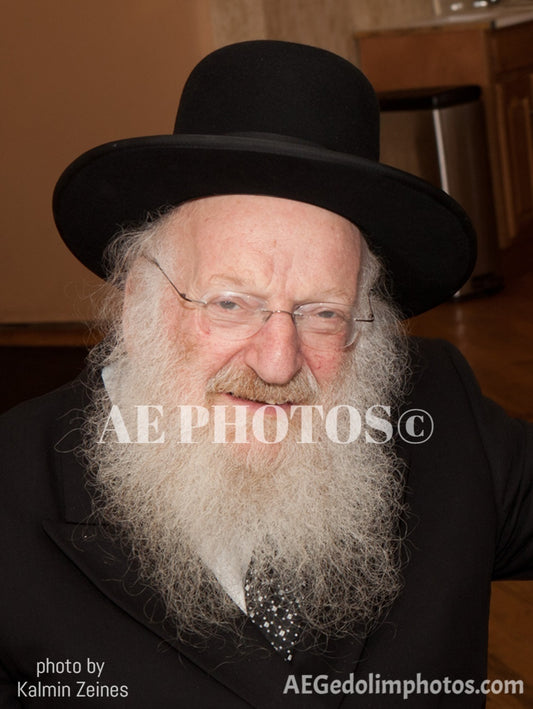 Rav Matisyahu Salomon