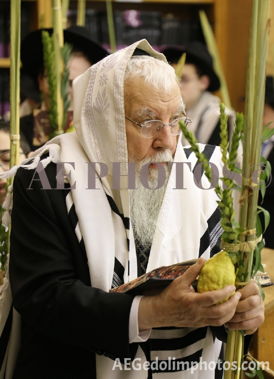 Rav Meir Stern with Lulav