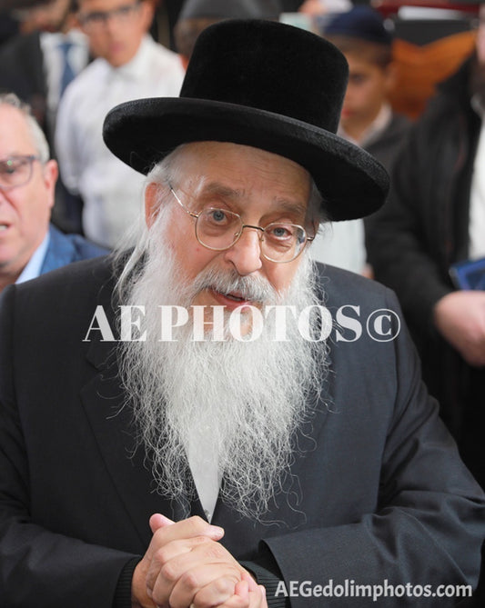 Rav Mordechai Fish