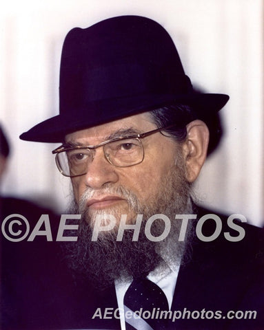 Rav Mordechai Gifter
