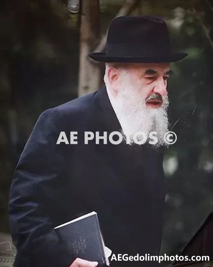 Rav Mordechai  Schwab