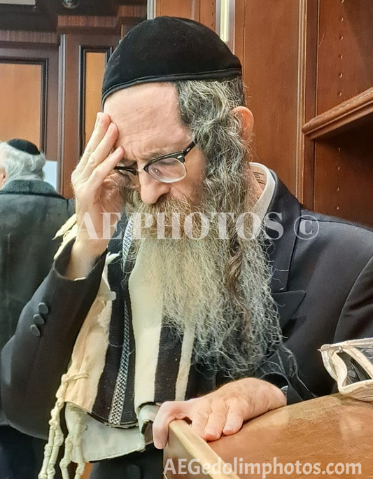 Rav Nachman Biderman