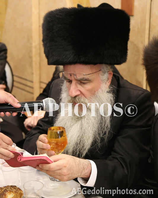 Rav Yehoshua Perlow Novaminska Rebbe