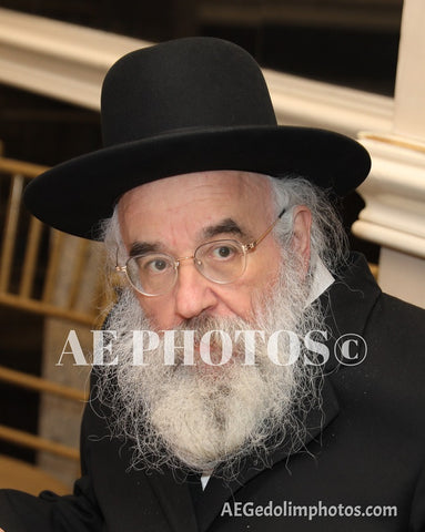 Rav Yisroel Perlow Novominsker Rebbe