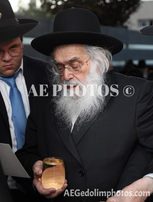 Rav Yonasan David