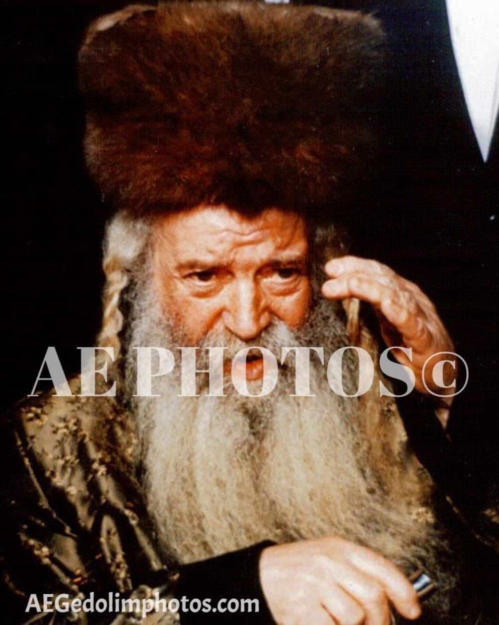 Skolya Rebbe