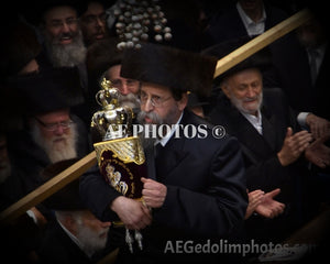 Boyan Rebbe Sefer Torah