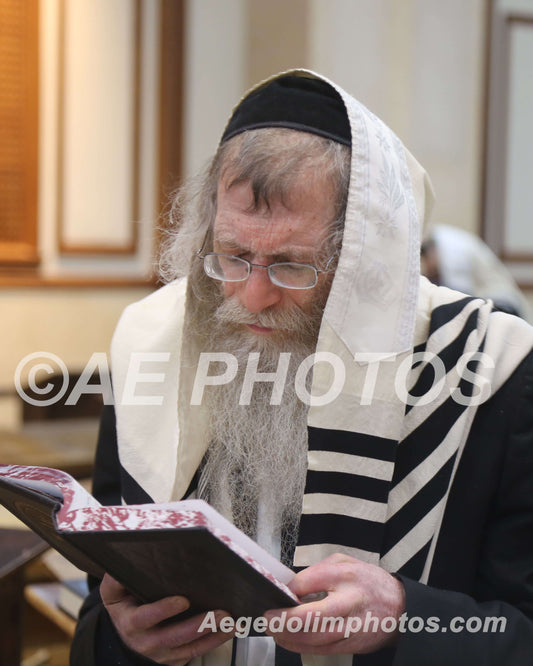 Rav Asher Bernbaum