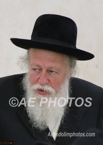 Rav Avraham Yehoshua Soloveitchik