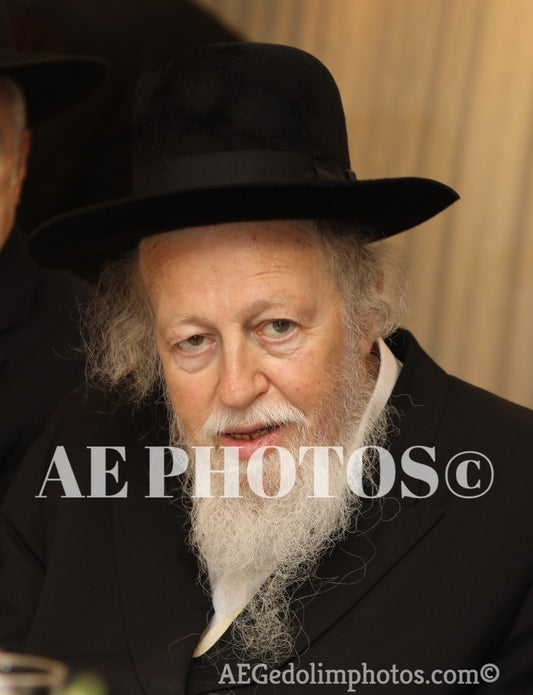 Rav Avrohom Yehoshua Soloveitchik