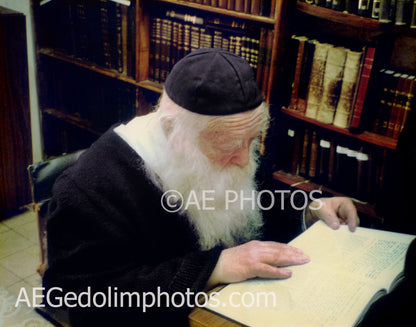 Rav Chaim Kanievsky