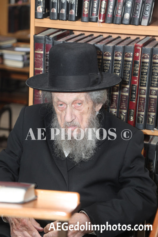 Rav Dov Landau