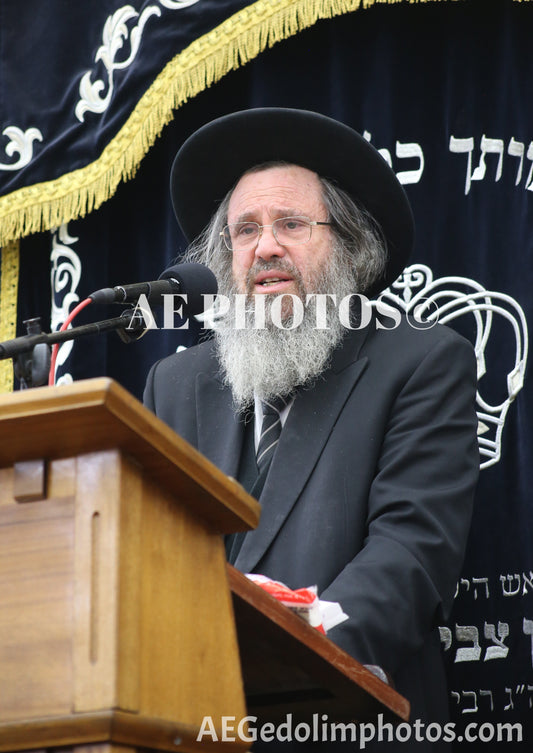 Rav Dovid Cohen