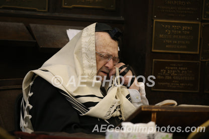 Rav Dovid Feinstein