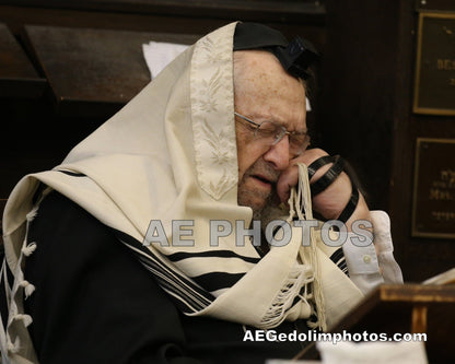 Rav Dovid Feinstein