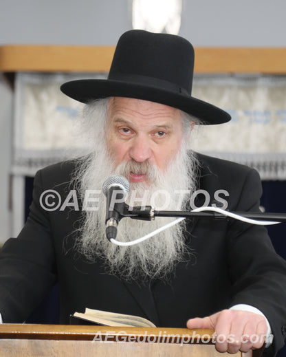 Rav Dovid Schustal