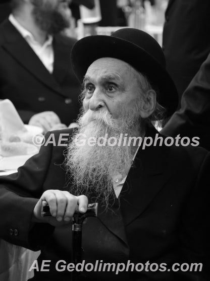 Rav Dovid Soloveitchik