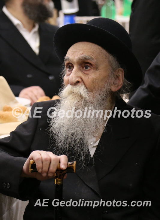 Rav Dovid Soloveitchik