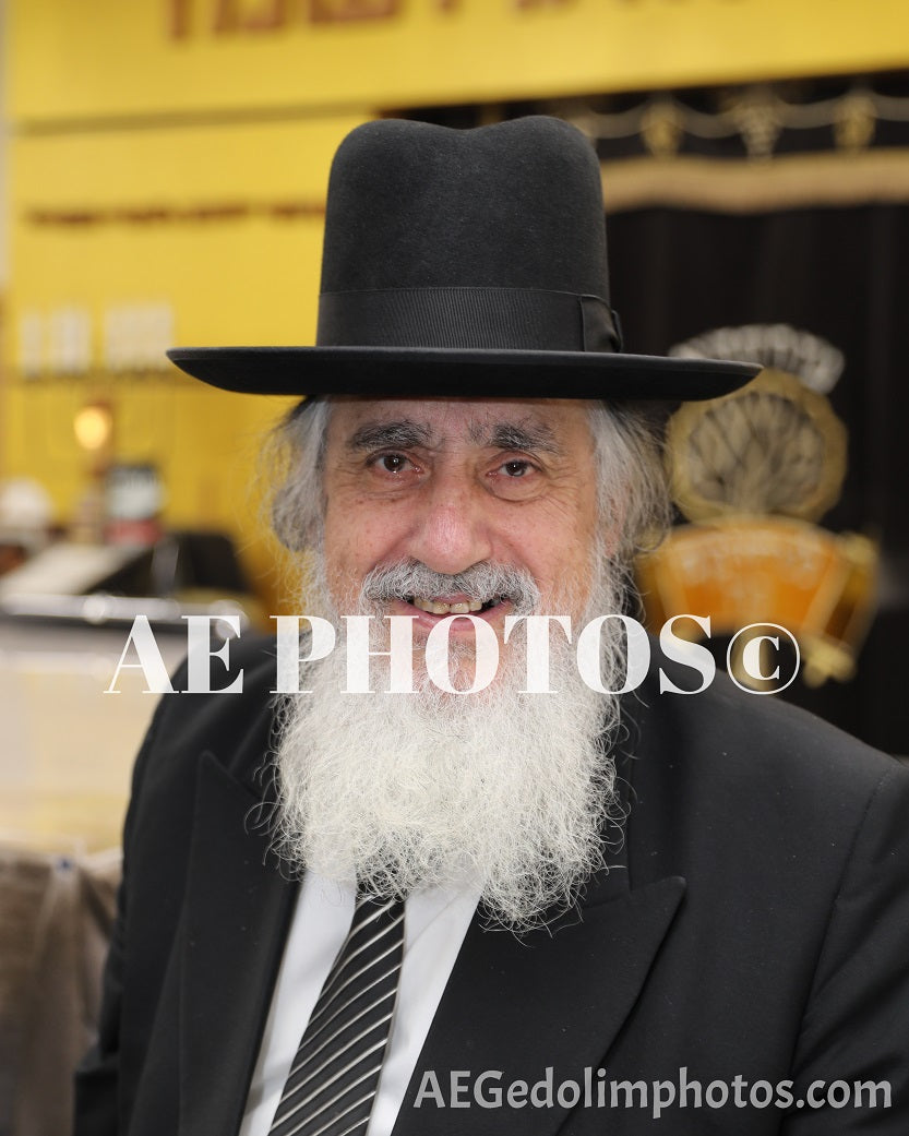 Rav Eliezer Ginsberg