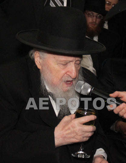 Rav Lipa Morgolis (R”Y Torah Temimah)