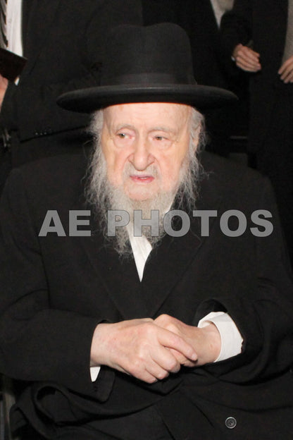 Rav Lipa Morgolis (R”Y Torah Temimah)